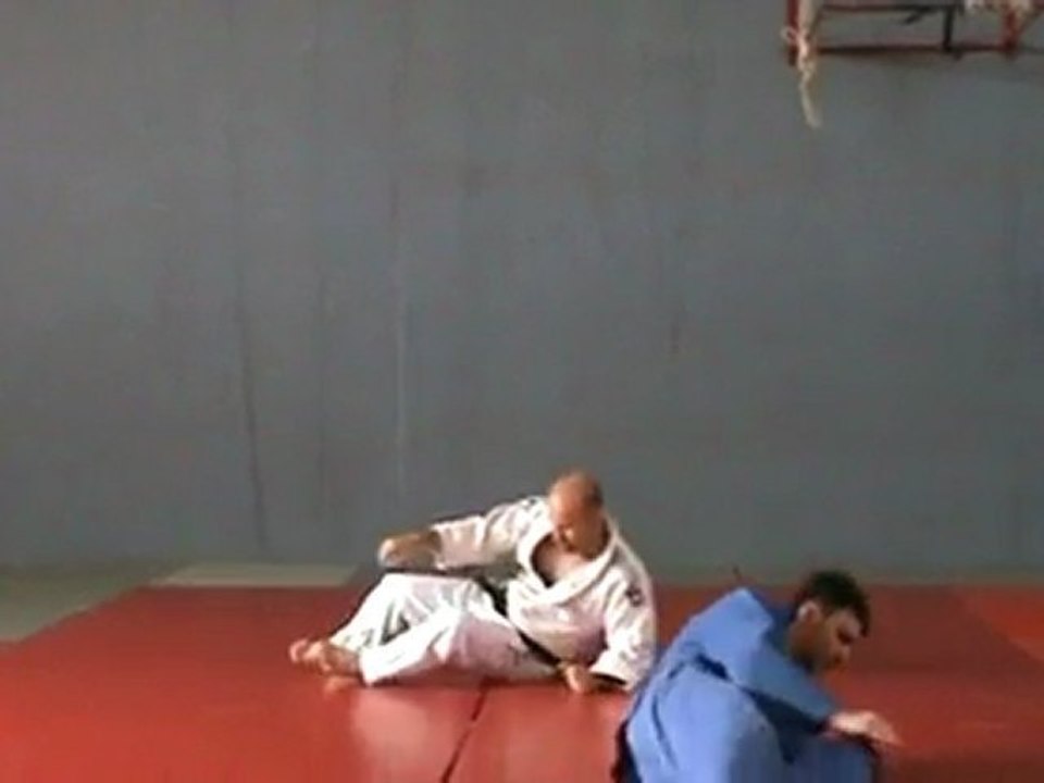 Yoko Wakare