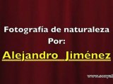 Fotografía de naturaleza con Alejandro Jiménez -3ª PARTE-