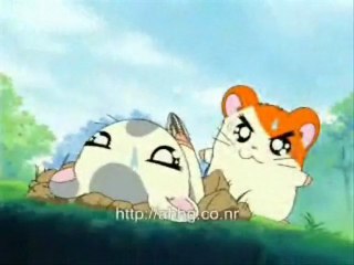 hamtaro dancing
