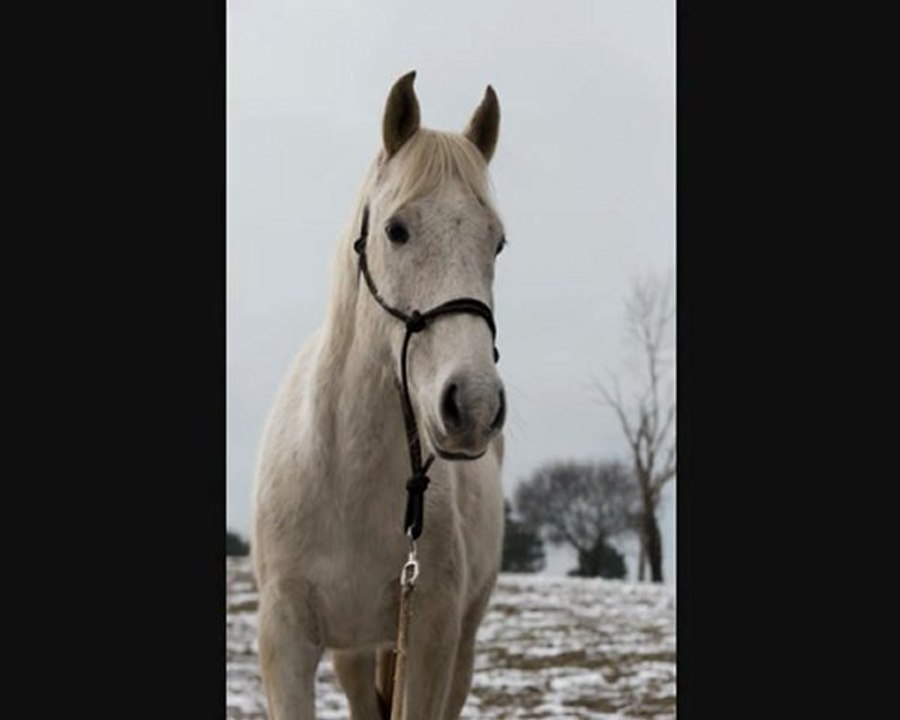 Lucky : 13 février 10