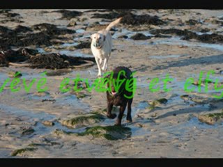 ballade du dimanche sous le soleil de février_0001