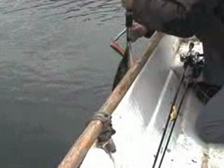 Pike fishing in Finland. Fishing around Kustavi area.