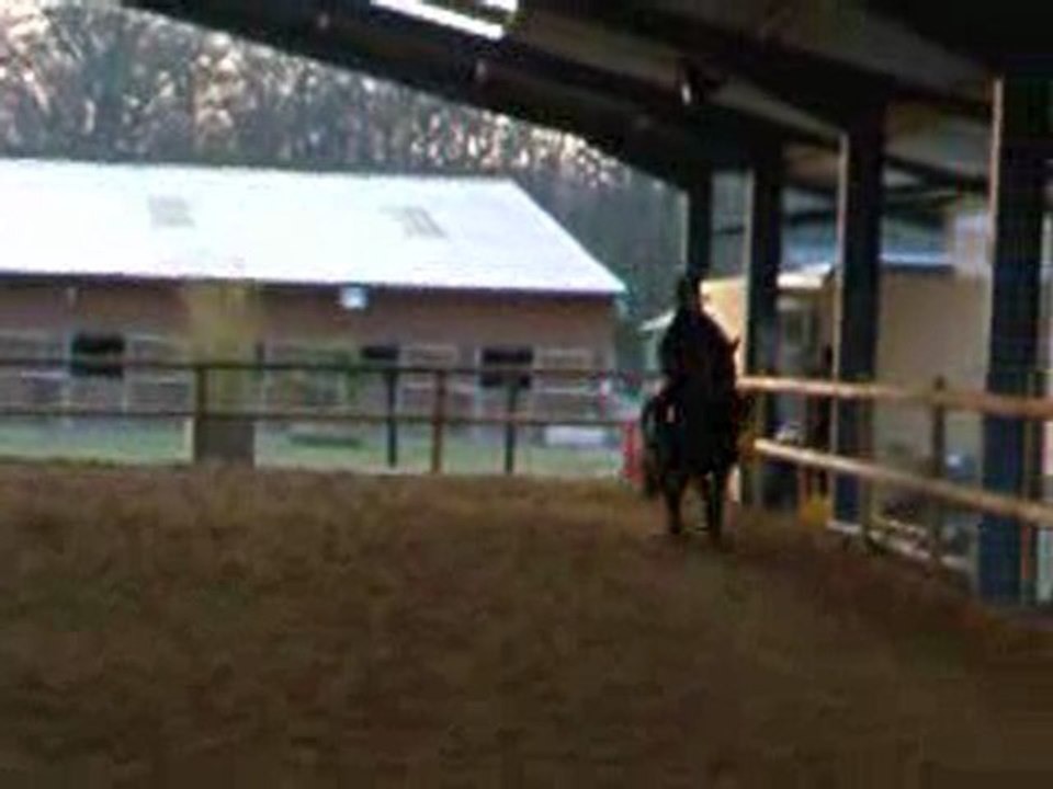 Planète Poney - Cours du 13.o2.1o [