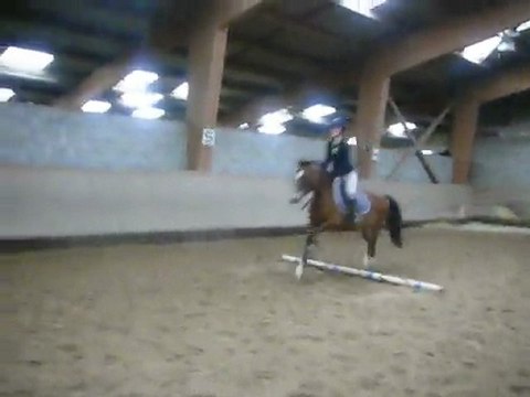 Cours de saut avec haighmoor