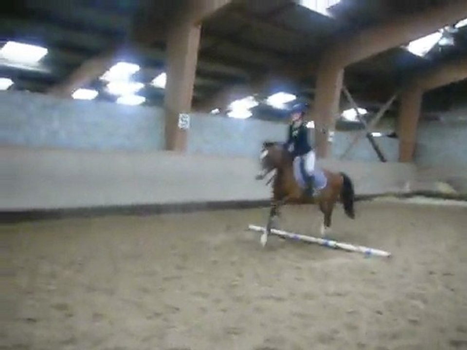 Cours de saut avec haighmoor