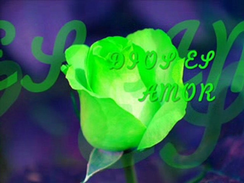 "MI SEÑOR" HERMANA ROSARIO