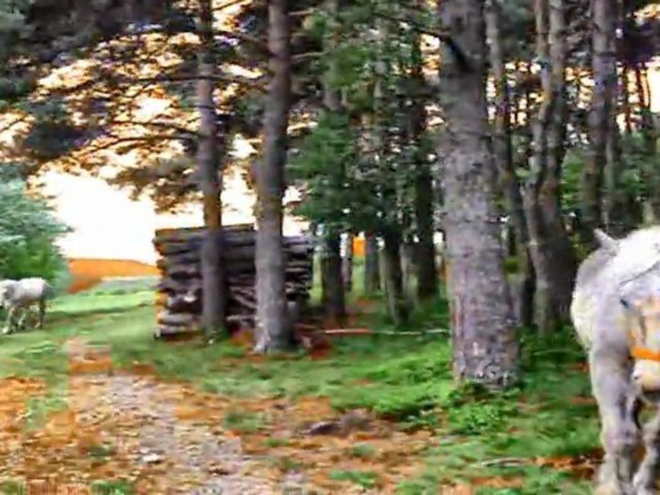 les produits de la ferme