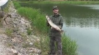 Pike fishing in Finland. Pike on jerkbait