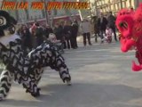 Danse du dragon ou licorne - Thieu Lam Hong Quyen Perpignan