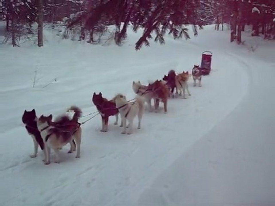 groenlandais en traineau
