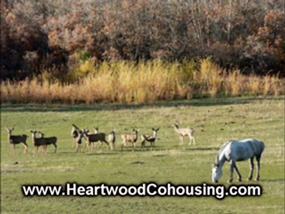 Heartwood Cohousing in Colorado