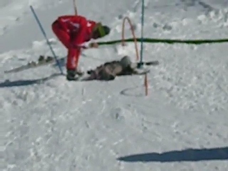 remontée plus descente