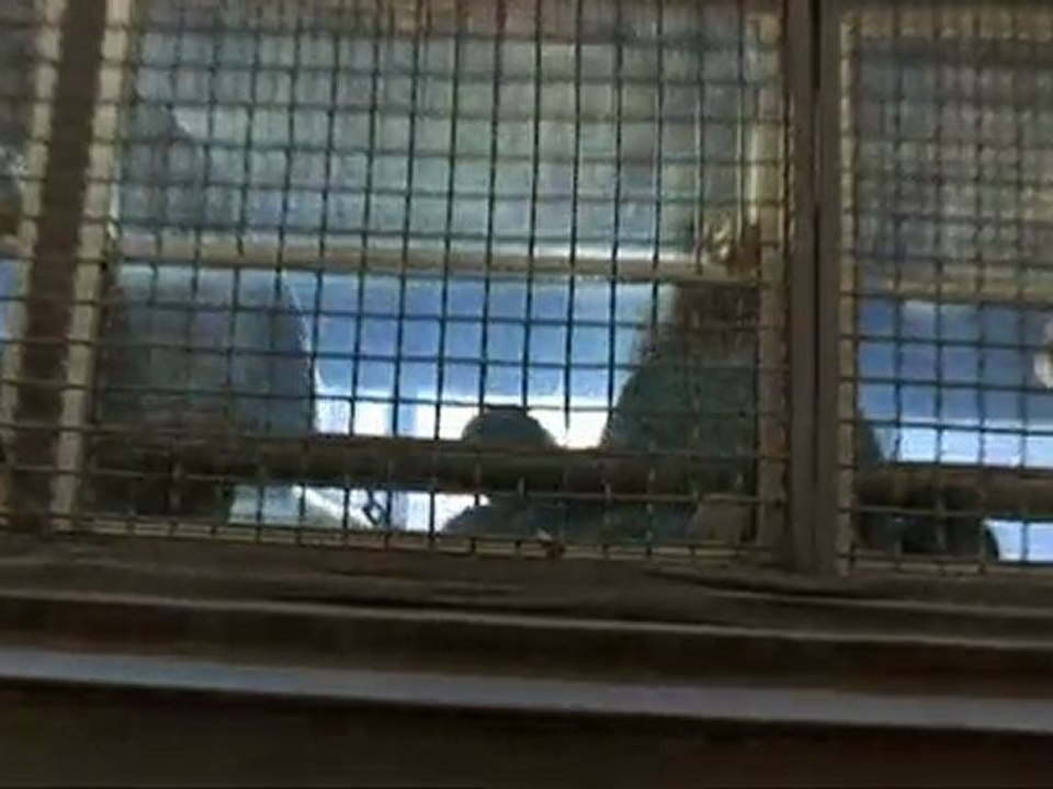 CAVALE SANS ISSUE (bande-annonce)