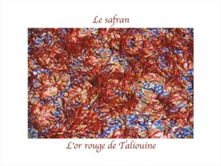 PUR SAFRAN TALiOUiNE MAROC : WWW.SAFFRON.C.LA