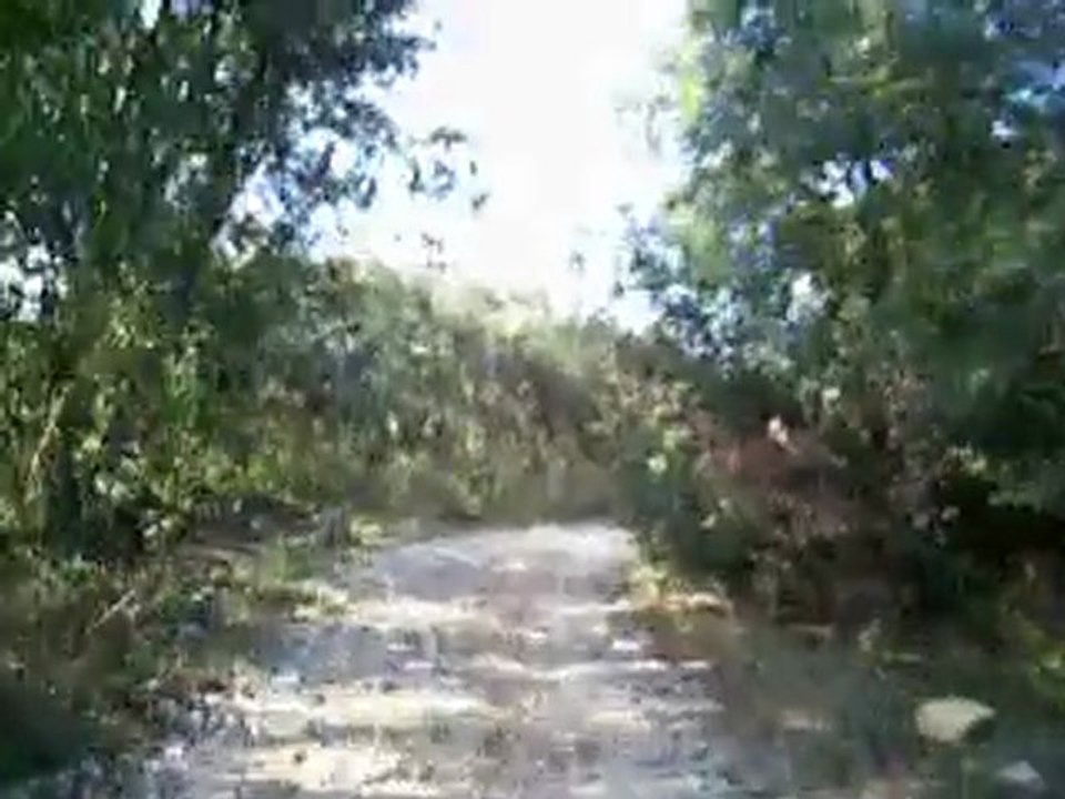 dtmx et pw 80 avec mon fils dimanche 14 fevrier 2010