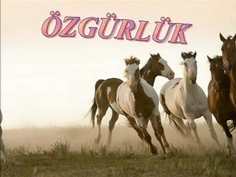 ÖZGÜRLÜK