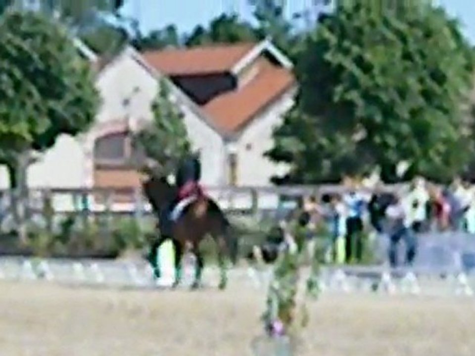 dressage grand prix , hondo, la garde