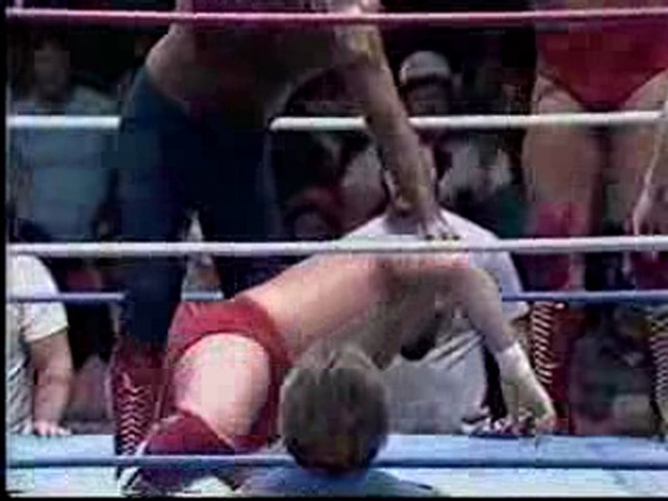 Steve Williams & Ted Dibiase vs Michael Hayes & Buddy Robert