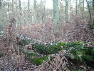 An Dro by Branâ Keternâ