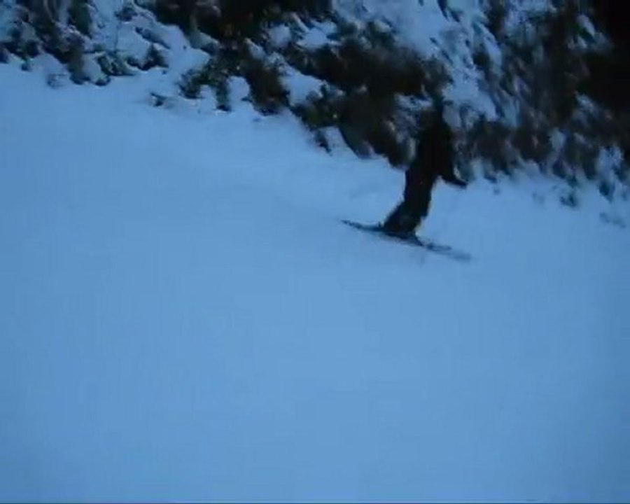 neve_2010
