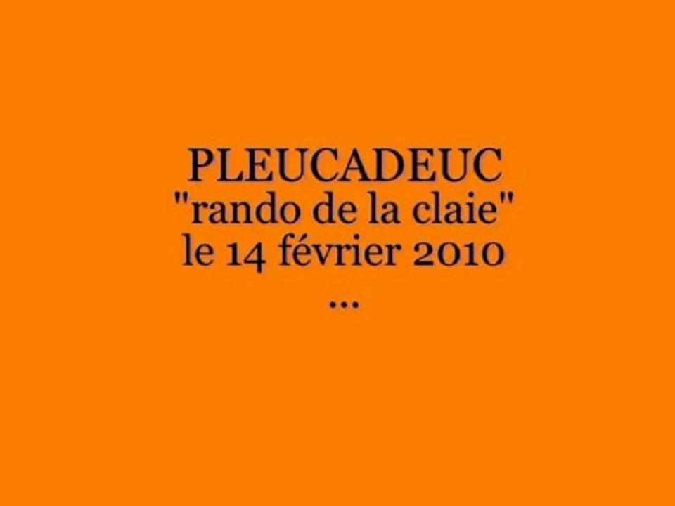 pleucadeuc 2010