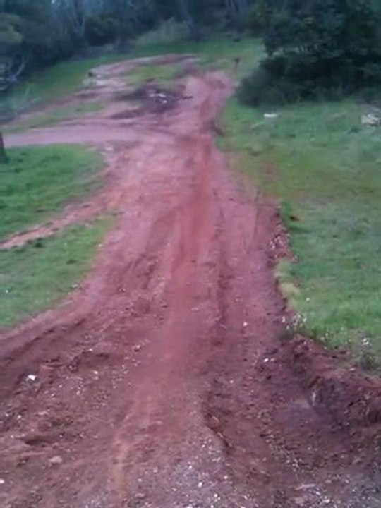 trophy truggy LRP Z28R n°2