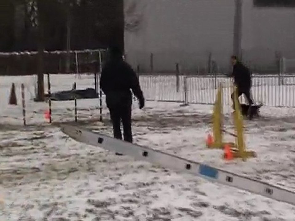 Vick_Interclubs agility