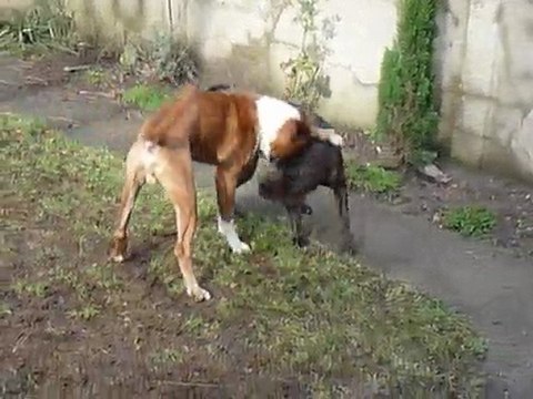 EWANE et EOLE dans le jardin vol.1 - Février 2010