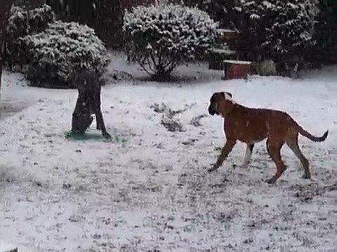 EWANE et EOLE dans le jardin vol.3 - Février 2010