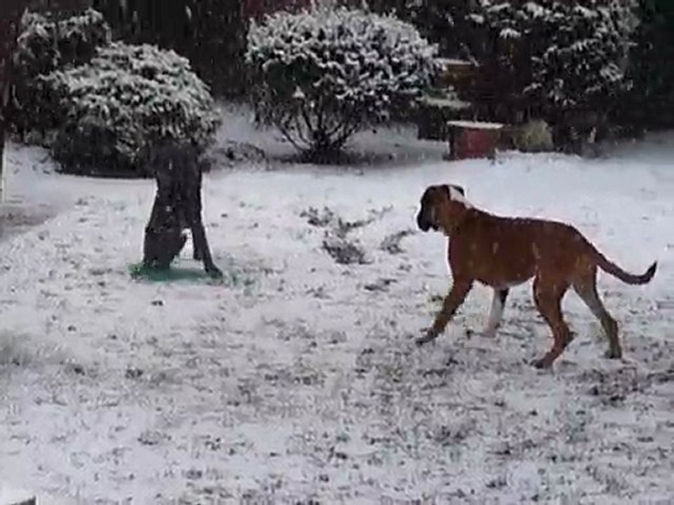 EWANE et EOLE dans le jardin vol.3 - Février 2010