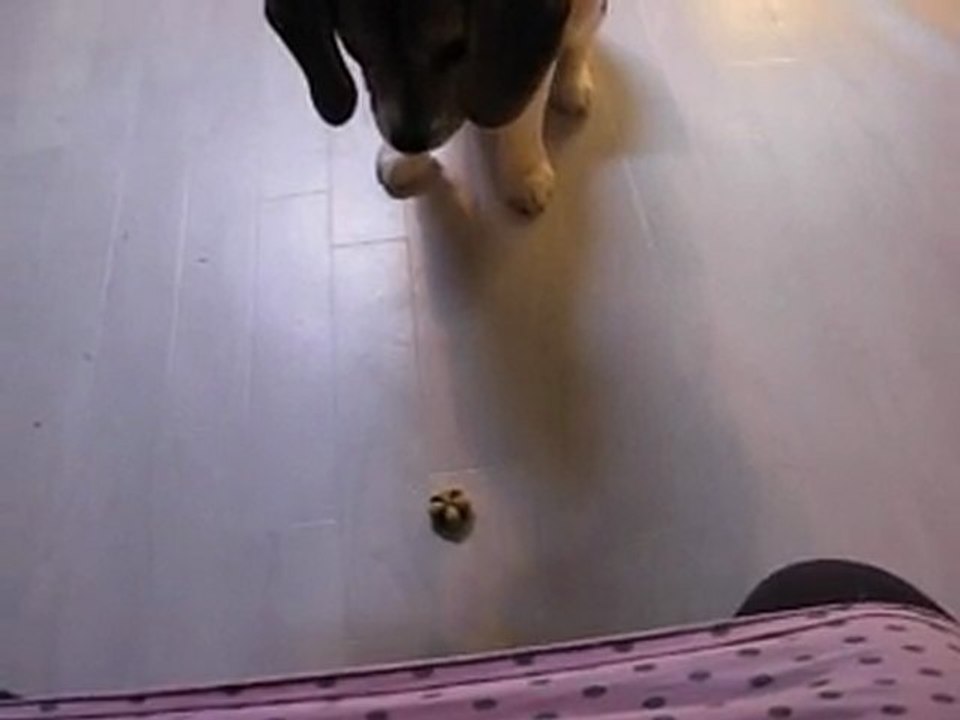 DSCN0732