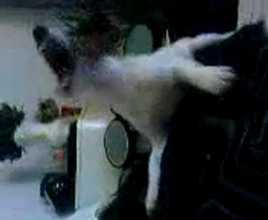 Enjoy pète un câble :)