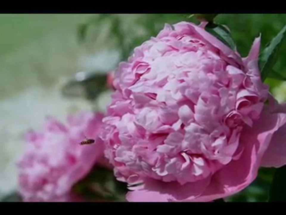 La Ferme de Marie Eugénie - Chambres d'hôtes de charme