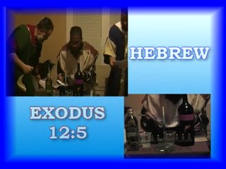 PT.2 PASSOVER SERVICE