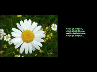 Ait menguelet-ARJU-YI