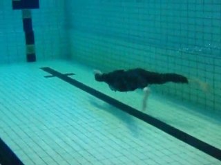 MJL2010 MikkoN DNF tekn