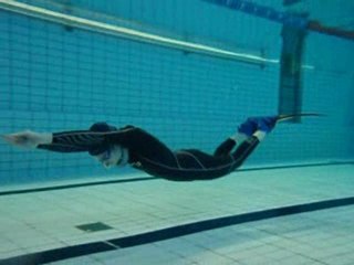 MJL2010 Saana DYNtek V.mono, video toimii,klikkaa vaan!