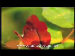 Muzaffer Gürler - Senin aşkın