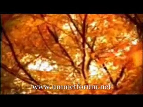 Muzaffer Gürler - Yalvarış