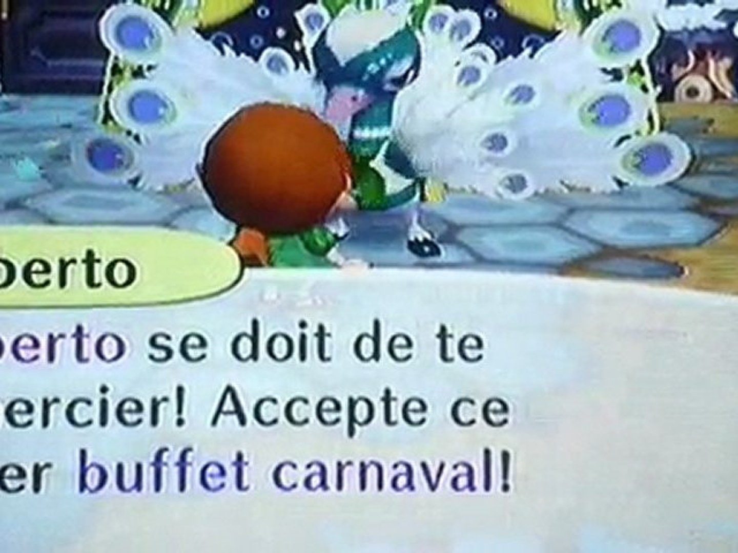 ⁣carnaval 15/02/10 Animal Crossing Wii