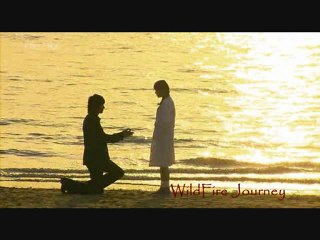 WildFire Wedding: JunPyo & JanDi's Love Story 💍