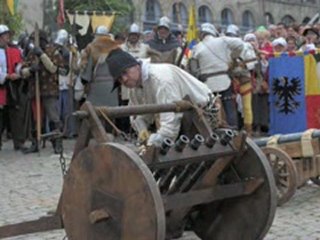 Roi de l'oiseau 2009