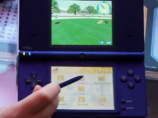 Comment s'occuper de son chiot dans Nintendogs