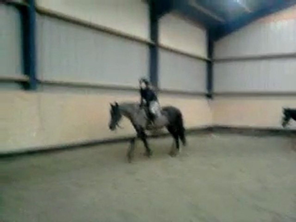 Moi && Honly