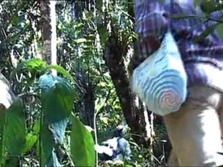 Kogis, le message des derniers hommes 1/3