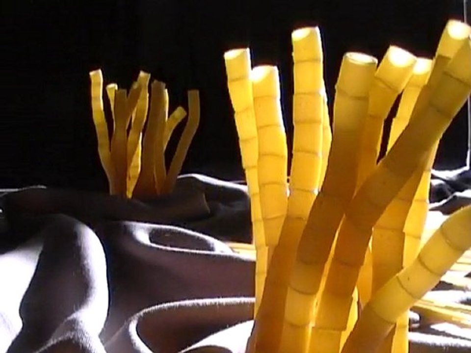 Expo Arles 2008