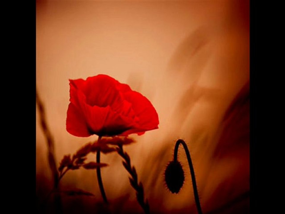 farid farjad/ ayrılık