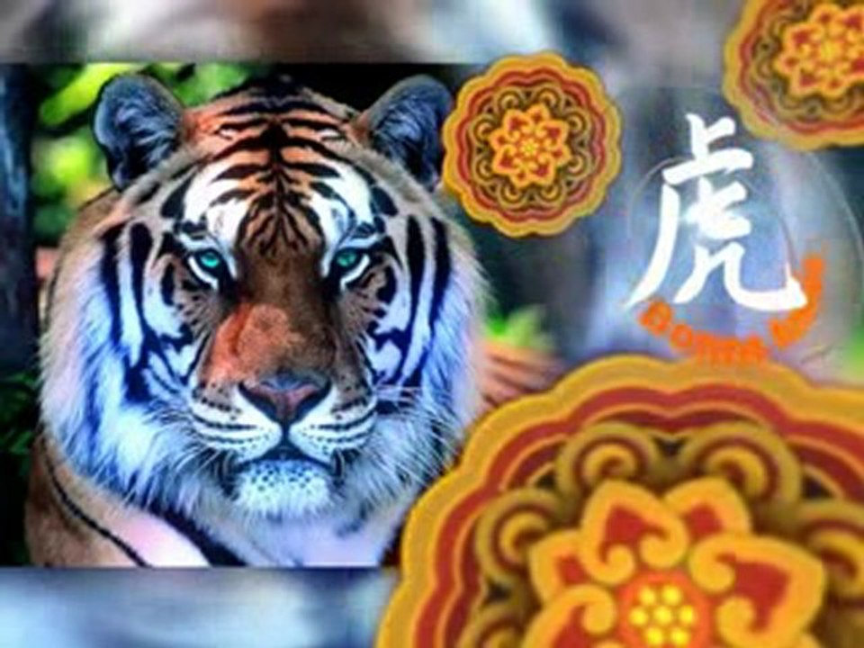 Carte_nouvel_an_chinois