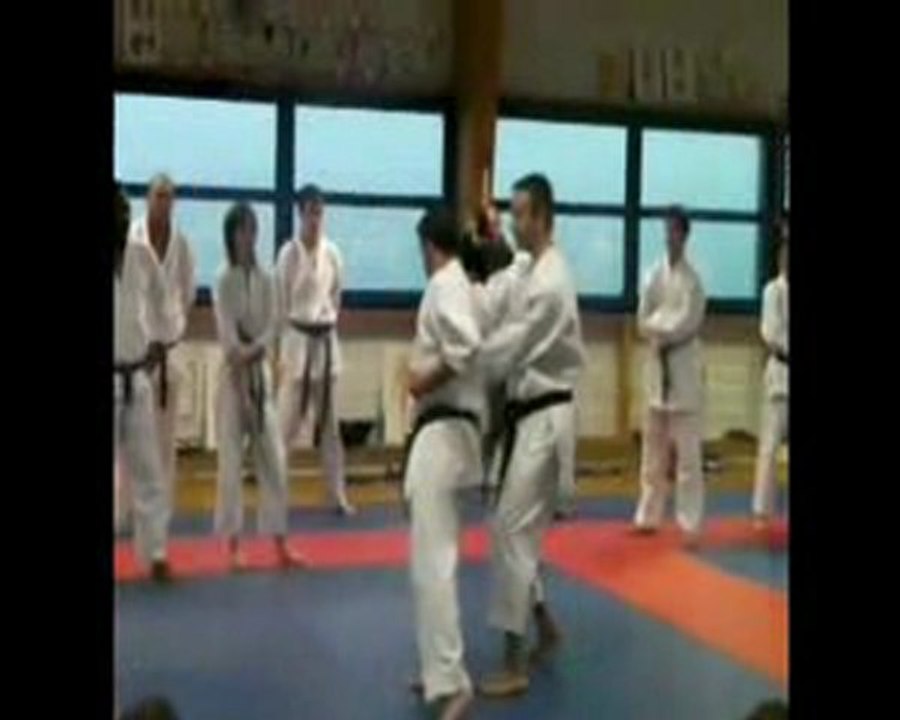 Stage club Taï jitsu du 17-01-2010