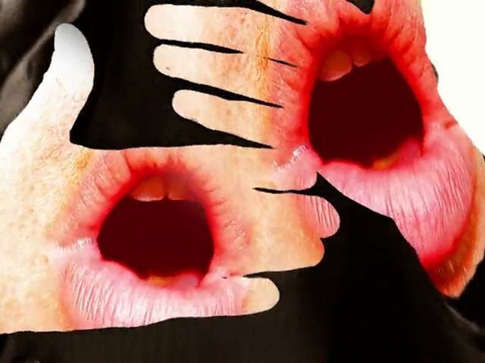 Une révélation pour la chanson française : ZED VAN TRAUMAT